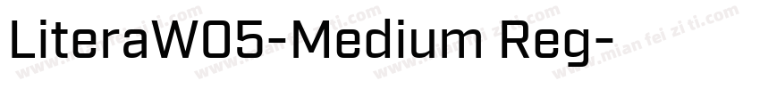 LiteraW05-Medium Reg字体转换